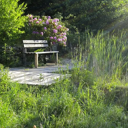 Het Groene