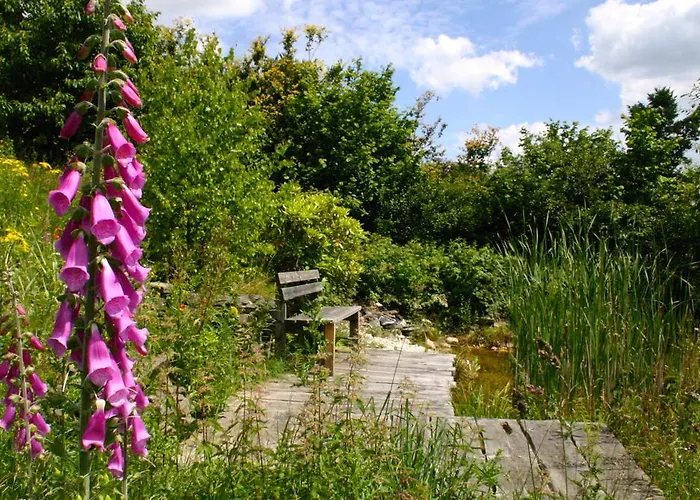 Het Groene Lejlighed Monschau